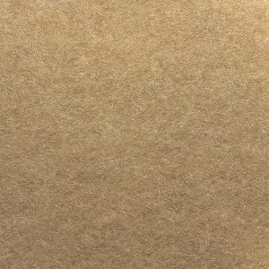 1310 salsa sand