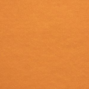 1370 salsa orange