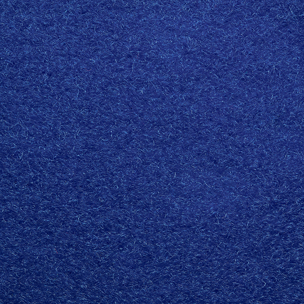 4895 salsa blue