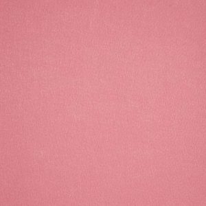 Naaldvilt - Podium - 3075 Rose