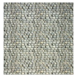 Naaldvilt - Xperience - Cobblestone