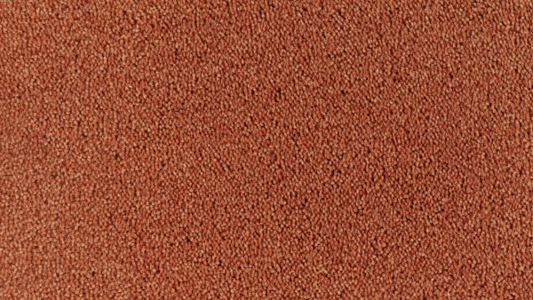 Colour King - 117 Salmon