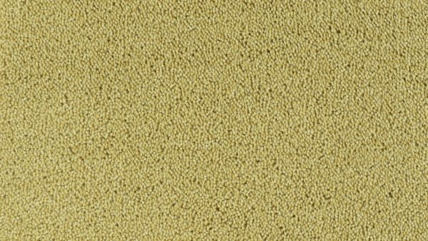 Colour King - 121 Pistachio