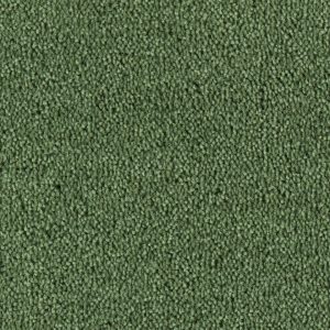 Tapijt - Colour King - 122