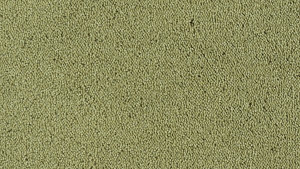 Colour King - 124 Tundra