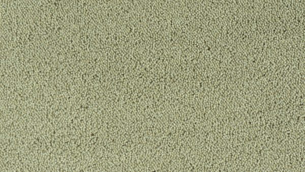 Colour King - 129 Cement