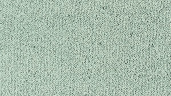 Colour King - 132 Syringa