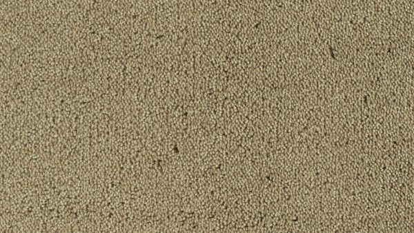 Colour King - 142 Partridge