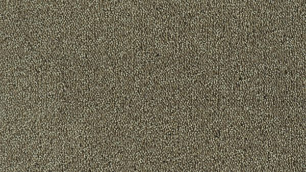 Colour King - 149 Taupe