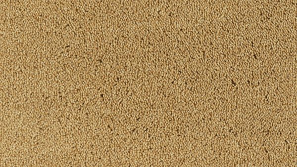 Colour King - 167 Cinnamon