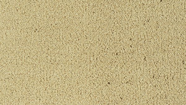 Colour King - 171 Beige