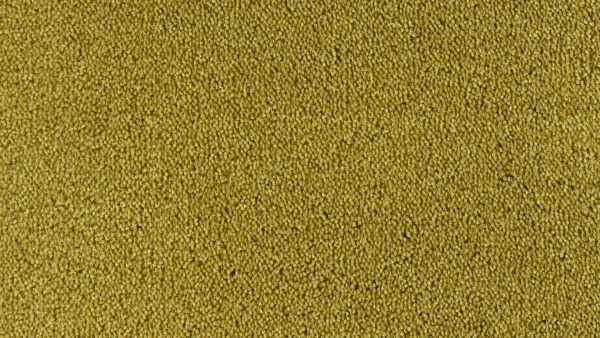 Colour King - 182 Mustard