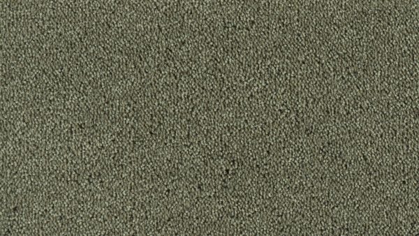 Colour King - 195 Basalt