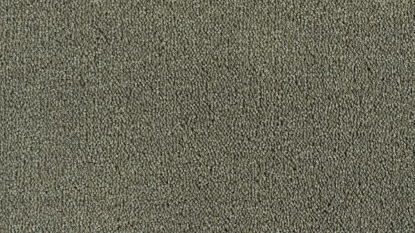 Colour King - 199 Warm Grey