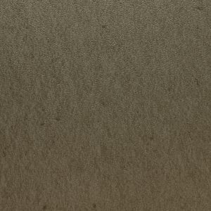 63636 FL1 Canyon Cement 50x50