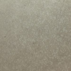 63722 FL1 Pale Speckled Ceramic 100x50