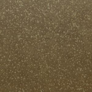 63724 FL1 Rust Speckled Ceramic 100x50