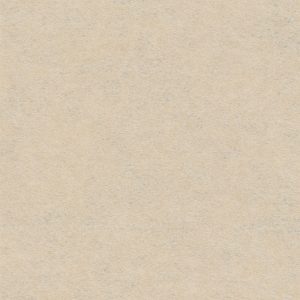 Rewind Flat 0209