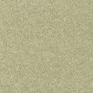 Parana_productshot_24_hr