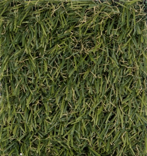 Artificial Grass - Protector